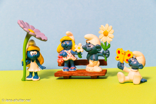 First Flowers in Spring