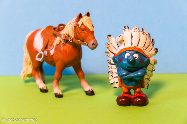 Native American With His Horse